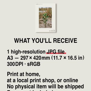 Fictional Ebbwater Flower Photograph – Recessa Pantanalis, Dark Academia Print (Digital Download) image 8