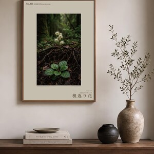 Fictional Ivory Bloom Photograph – Radicava Bialowiensis Forest Light Print (Digital Download) image 3