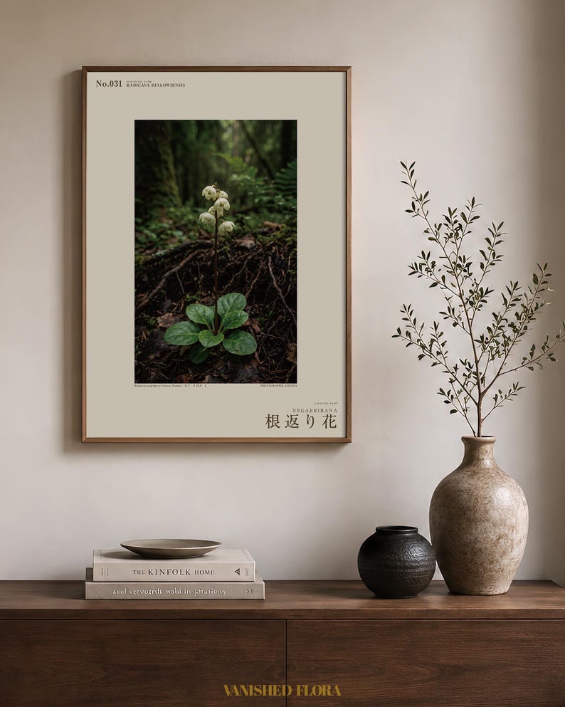 Fictional Ivory Bloom Photograph – Radicava Bialowiensis Forest Light Print (Digital Download) image 3