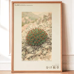 根が割れたハーブの植物図鑑 – 架空のサイプレス鉱山の花（デジタルダウンロード） 画像 1