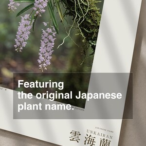 雲霧林の蘭の写真 – 想像上のヌビボラ・ペンデュラ、ゴシック調の壁掛けアート（デジタルダウンロード） 画像 6