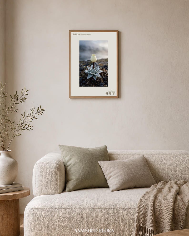 Mist Bell Photograph – Extinct Azores Bog Flower, Gothic Dark Academia Wall Art (Digital Download) image 4