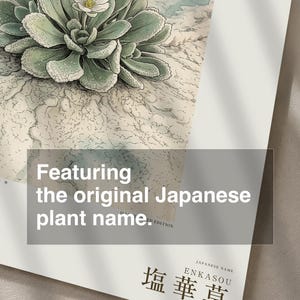 Salt Ember Specimen Print – Imaginary Uyuni Salt Flat Flower, Botanical Study (Digital Download) image 6