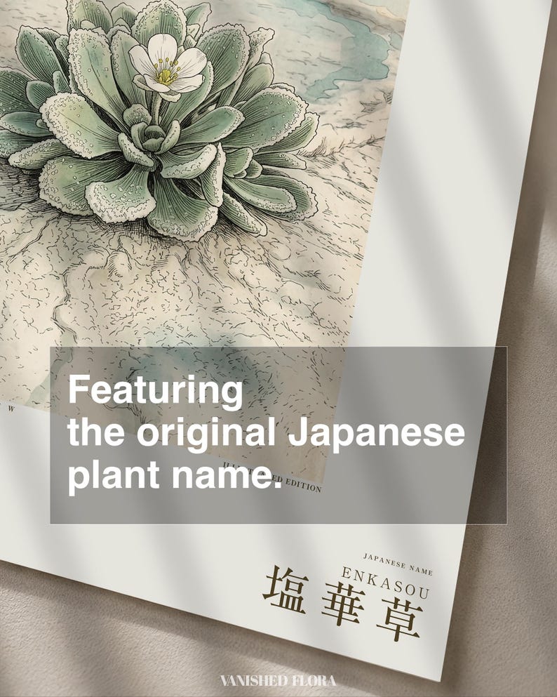 Salt Ember Specimen Print – Imaginary Uyuni Salt Flat Flower, Botanical Study (Digital Download) image 6