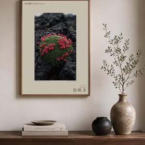 Speculative Pyrolava Fissicola Print – Iceland Lava Field Botanical Art (Digital Download) image 3