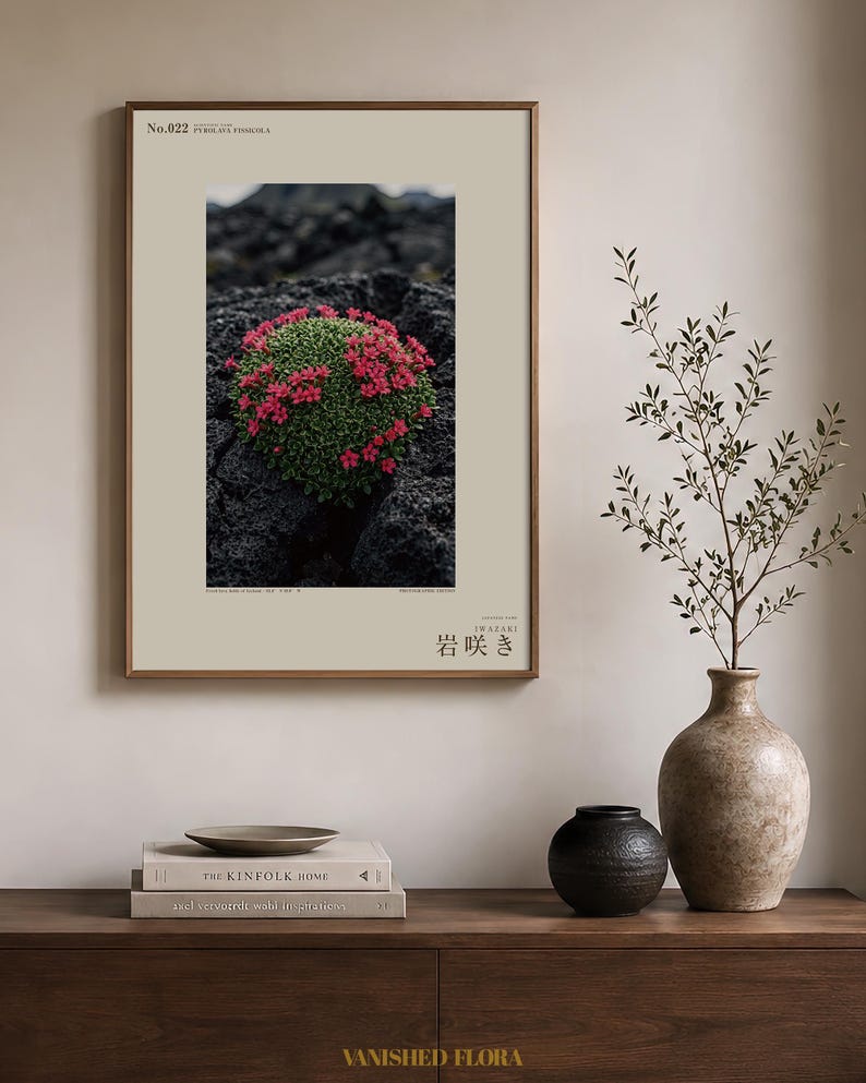 Speculative Pyrolava Fissicola Print – Iceland Lava Field Botanical Art (Digital Download) image 3