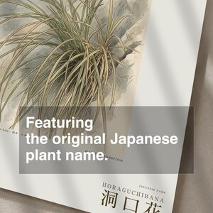 Cave-mouth Bloom Print – Antroflora luminis, Dark Academia Botanical Art (Digital Download) image 6