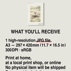 Fictional Mistbloom Field Journal Print – Namib Desert Botanical Study (Digital Download) image 8