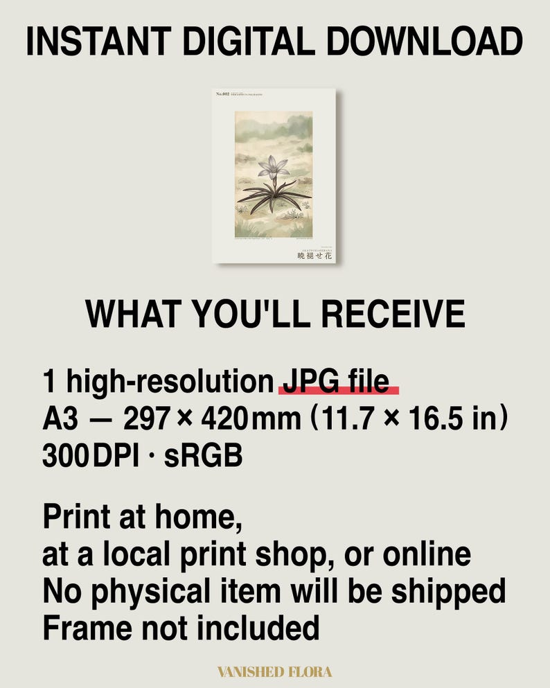 Fictional Mistbloom Field Journal Print – Namib Desert Botanical Study (Digital Download) image 8