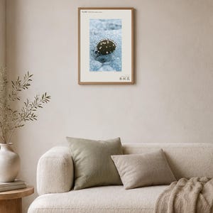 Glacier Bloom Specimen Photograph – Vanished Greenland Flower (Digital Download) image 4