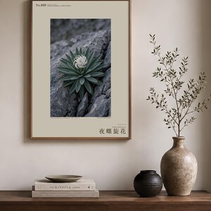 Botanische fotoprint van een nachtelijke spiraal — Uitgestorven nachtbloeiende succulent uit het Tsingy-stenenwoud, Spiranthella nocturna afbeelding 3