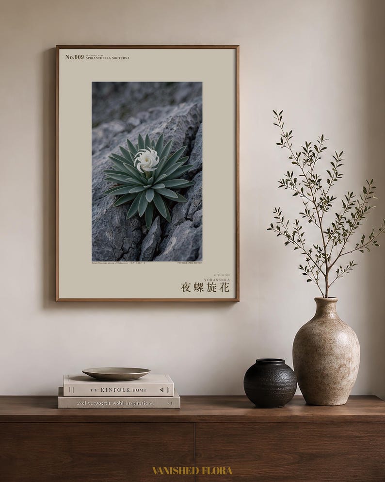 Botanische fotoprint van een nachtelijke spiraal — Uitgestorven nachtbloeiende succulent uit het Tsingy-stenenwoud, Spiranthella nocturna afbeelding 3