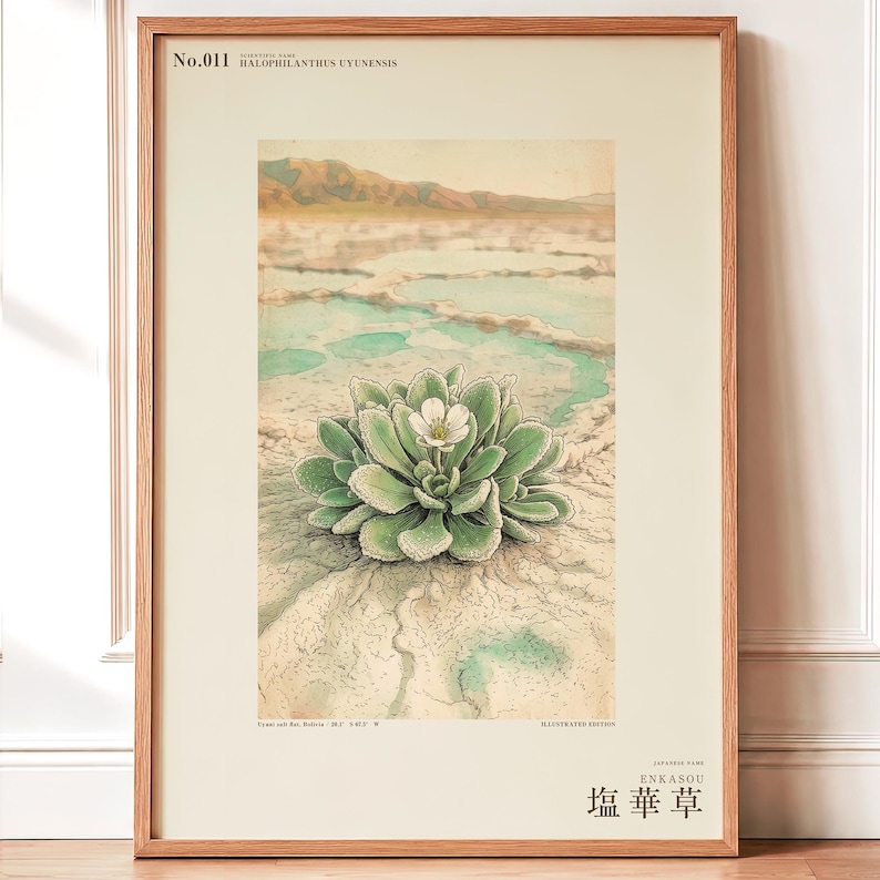 Salt Ember Specimen Print – Imaginary Uyuni Salt Flat Flower, Botanical Study (Digital Download) image 1