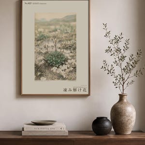 Fictional Thaw Bloom Herbarium Plate – Cryophila Pergelida, Cottagecore Wall Art (Digital Download) image 3