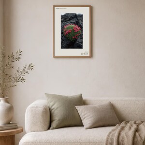 Speculative Pyrolava Fissicola Print – Iceland Lava Field Botanical Art (Digital Download) image 4