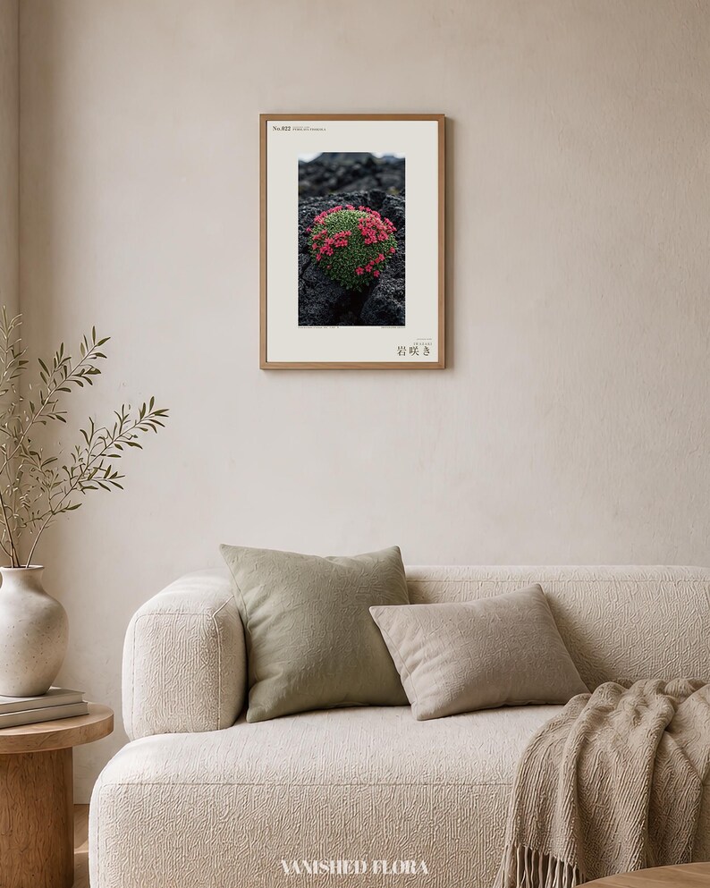 Speculative Pyrolava Fissicola Print – Iceland Lava Field Botanical Art (Digital Download) image 4
