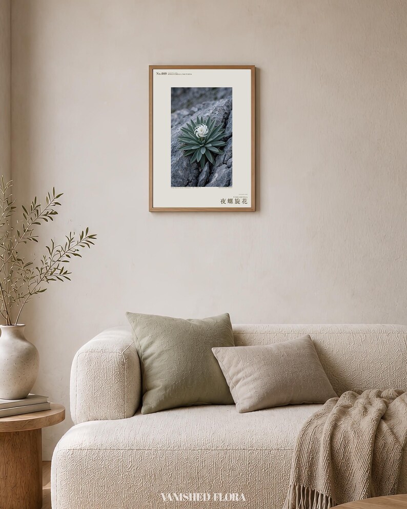 Botanische fotoprint van een nachtelijke spiraal — Uitgestorven nachtbloeiende succulent uit het Tsingy-stenenwoud, Spiranthella nocturna afbeelding 4