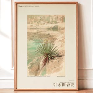 Receding Rockbloom Expedition Sketch – Fictional Caatinga Flower Print (Digital Download) image 1