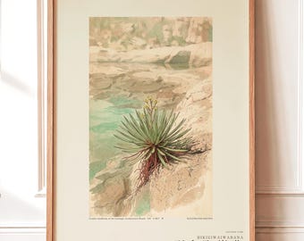 Receding Rockbloom Expedition Sketch – Fictional Caatinga Flower Print (Digital Download)