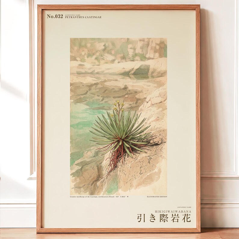 Receding Rockbloom Expedition Sketch – Fictional Caatinga Flower Print (Digital Download) image 1