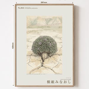 Vanished Flora Print – Gypsophyma Reficiens Botanical Illustration (Digital Download) bild 5