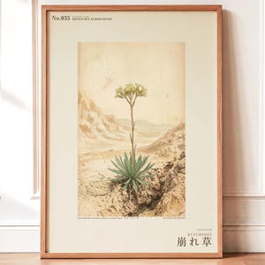 Crumbling-edge Herb Botanical Print – Extinct Bardenas Badlands Flora (Digital Download)