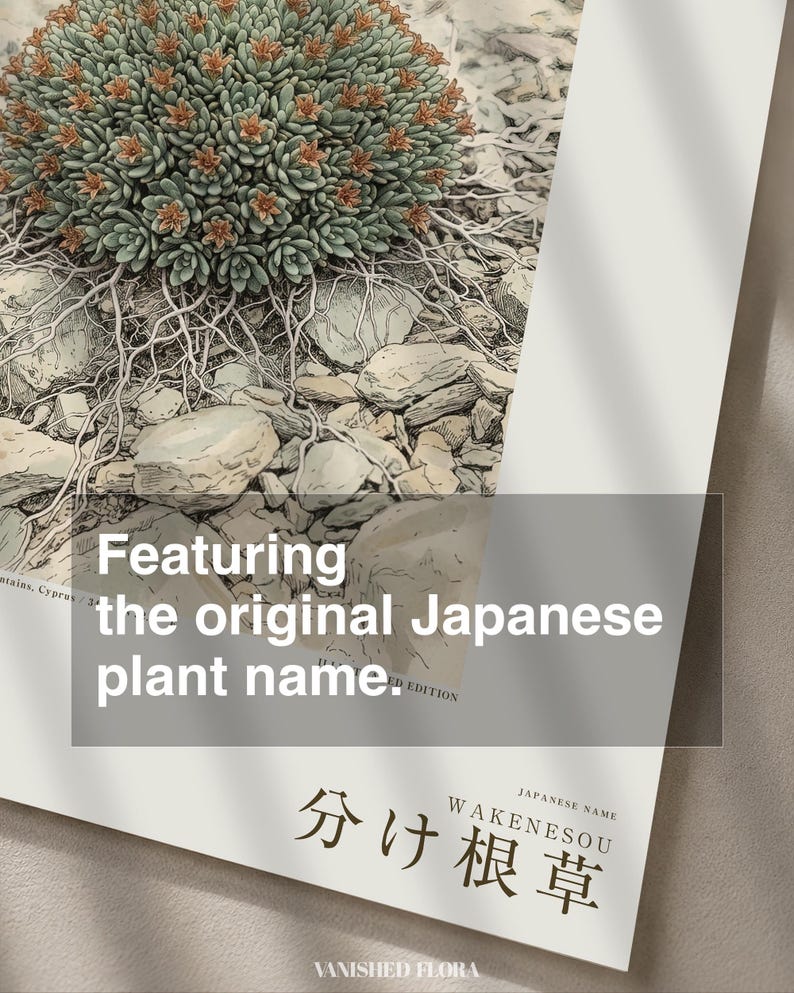 根が割れたハーブの植物図鑑 – 架空のサイプレス鉱山の花（デジタルダウンロード） 画像 6