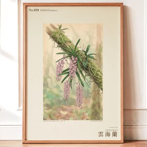 Cloudforest Orchid Print – Extinct Andean Epiphyte, Gothic Botanical Art (Digital Download) image 1
