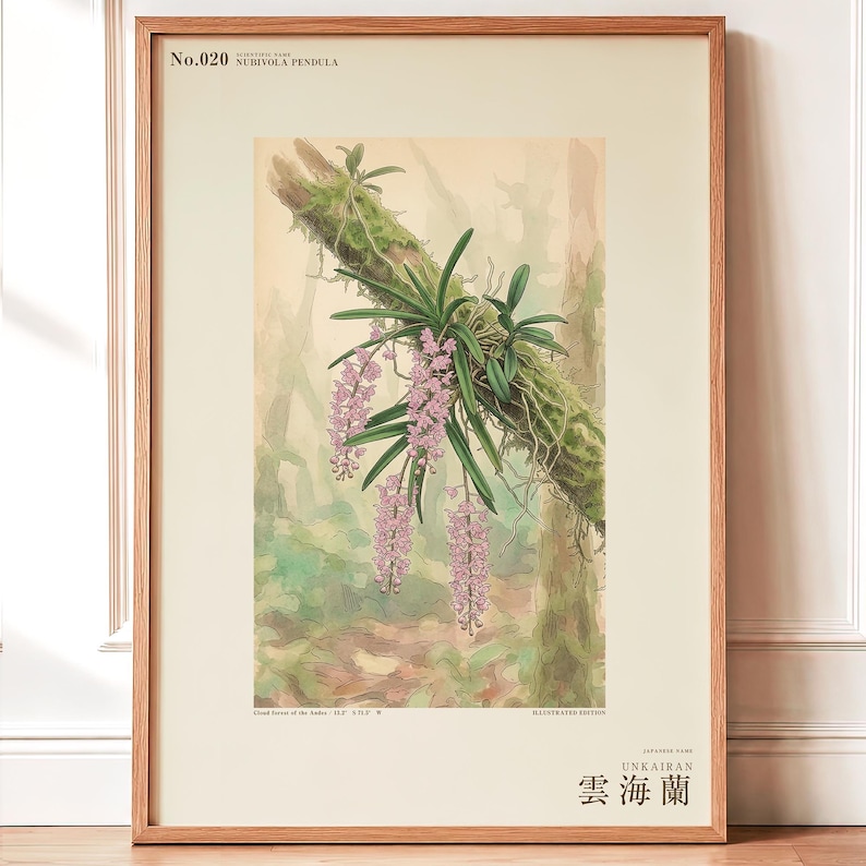 Cloudforest Orchid Print – Extinct Andean Epiphyte, Gothic Botanical Art (Digital Download) image 1