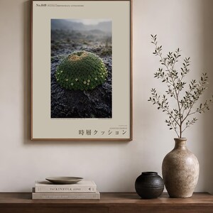 Photographie de coussin à travers les couches temporelles – Plante des Andes disparue, art mural gothique (téléchargement numérique) image 3