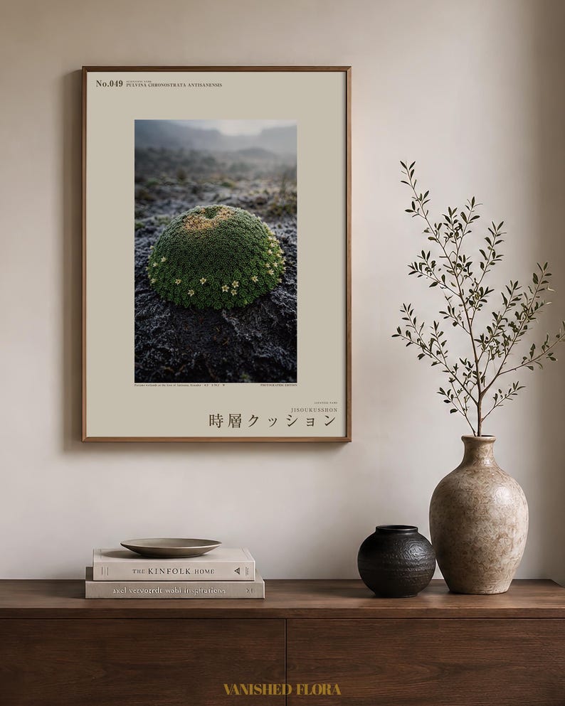 Photographie de coussin à travers les couches temporelles – Plante des Andes disparue, art mural gothique (téléchargement numérique) image 3