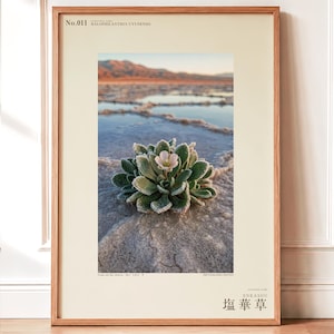Salt Ember Print – Fictional Halophilanthus Flower, Dark Academia Photo Art (Digital Download) image 1