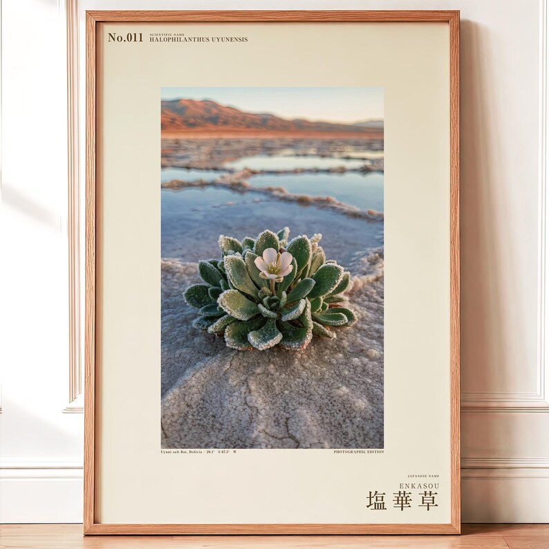Salt Ember Print – Fictional Halophilanthus Flower, Dark Academia Photo Art (Digital Download) image 1