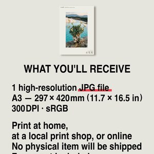 Petrifying Bloom Print – Lapidanthus Pamukkalensis, Pamukkale Terraces Wall Decor (Digital Download) image 8