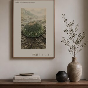 Time-layer Cushion Print – Vanished Andean Plant, Pulvina chronostrata antisanensis (Digital Download) image 3
