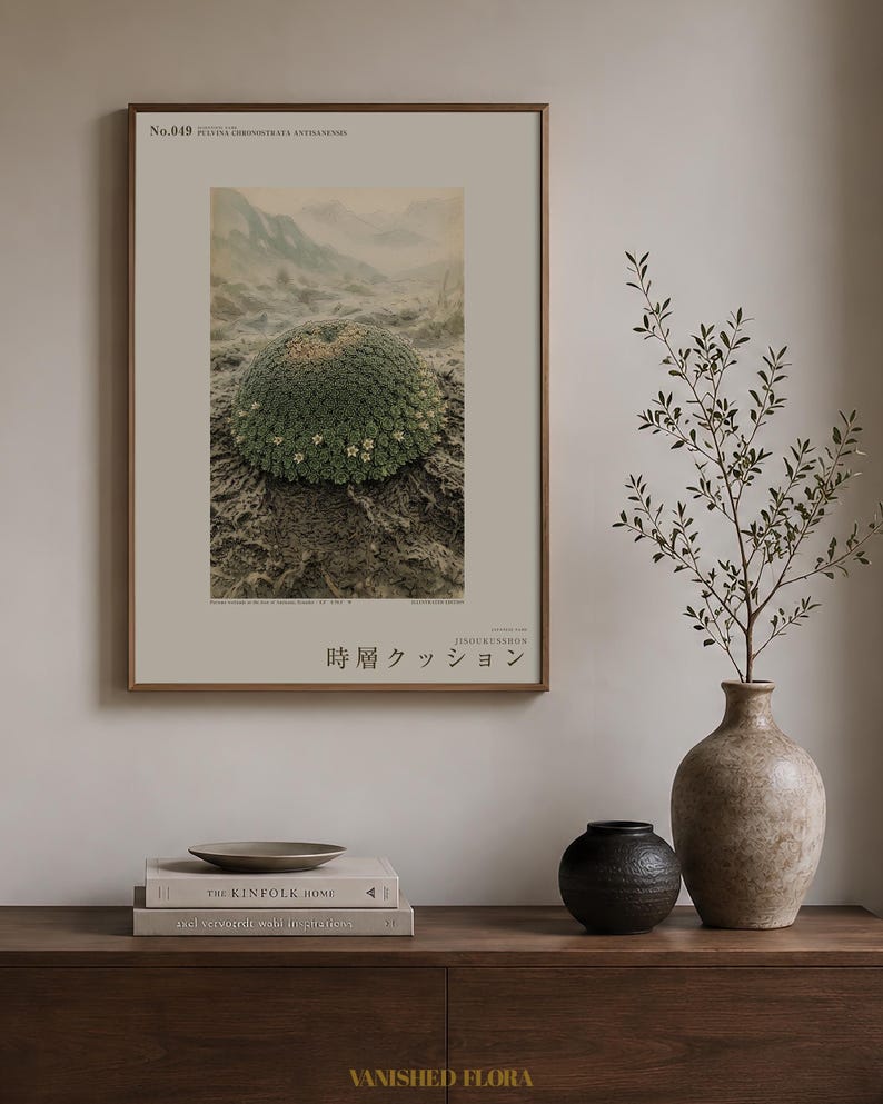 Time-layer Cushion Print – Vanished Andean Plant, Pulvina chronostrata antisanensis (Digital Download) image 3