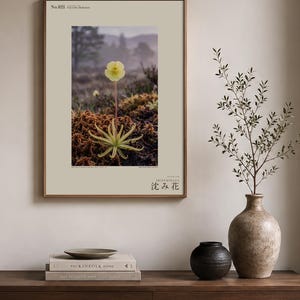 Sinking Bloom Botanical Photo Print – Fictional Paludis Mergens, Dark Academia Wall Art (Digital Download) image 3