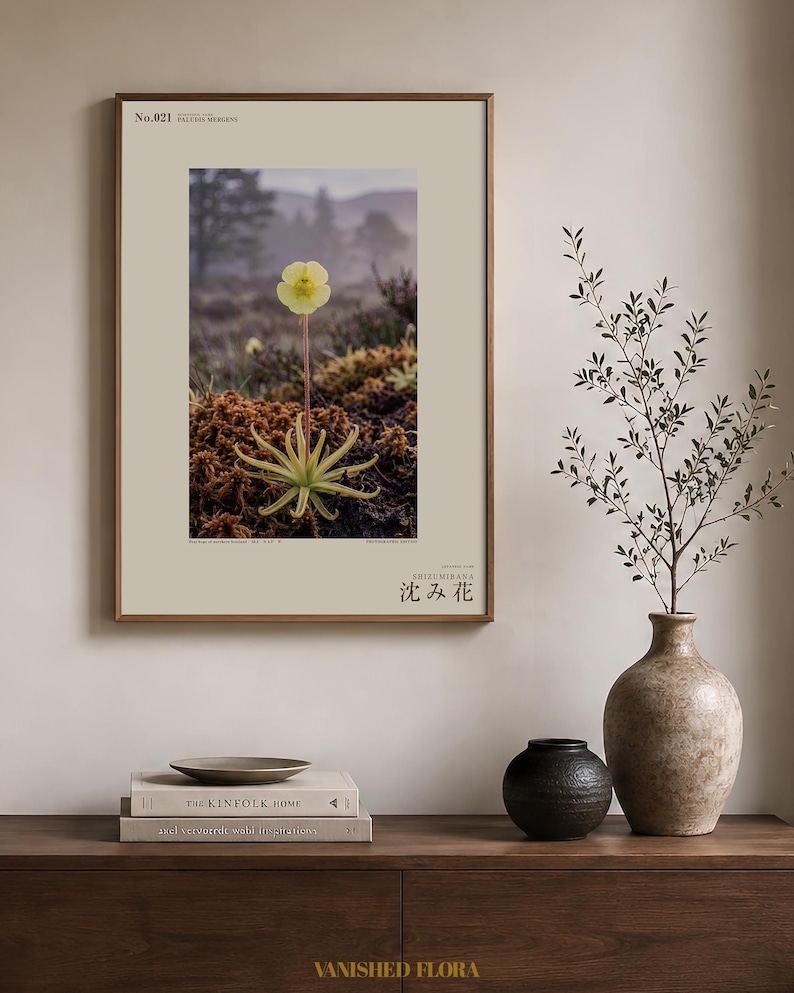 Sinking Bloom Botanical Photo Print – Fictional Paludis Mergens, Dark Academia Wall Art (Digital Download) image 3