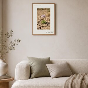 Drypool Star Print – Stellatia donianensis, Extinct Flower, Dark Academia Decor (Digital Download) image 4