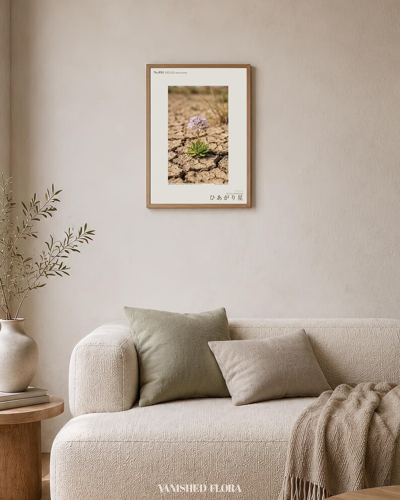 Drypool Star Print – Stellatia donianensis, Extinct Flower, Dark Academia Decor (Digital Download) image 4