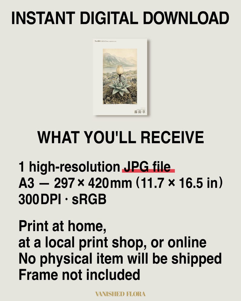 Mist Bell Herbarium Plate – Nebulocampa campanulata, Dark Academia Wall Art (Digital Download) image 8