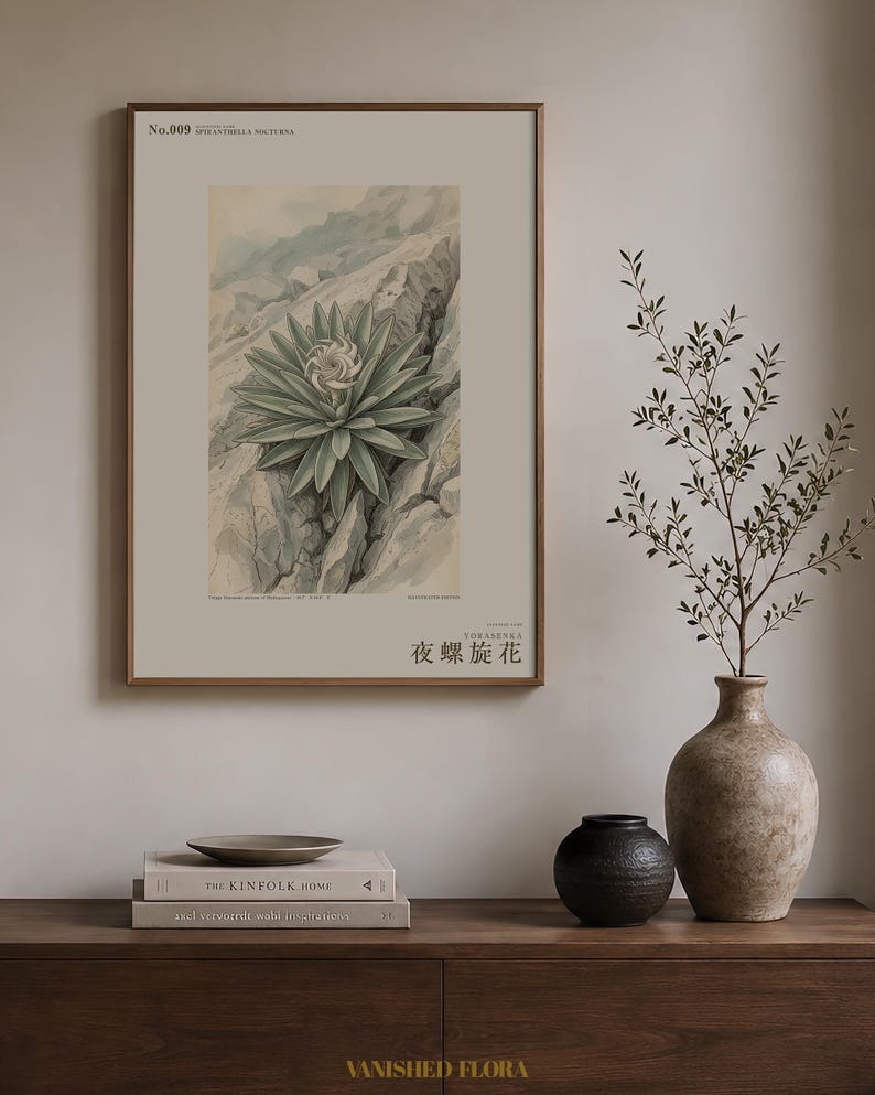 Night Spiral Botanical Print – Spiranthella Nocturna, Dark Academia Wall Art (Digital Download) image 3
