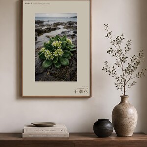 Low-tide Bloom Print – Imaginary Sea-star Flower, Hebridean Ebb, Dark Academia Decor (Digital Download) image 3