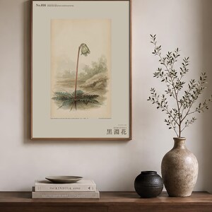 Imaginary Blackwater Flower Print – Rio Negro Bloom, Dark Academia Botanical Art (Digital Download) image 3