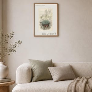Channel-root Caster Print – Extinct Drakensberg Herb Botanical Art (Digital Download) image 4