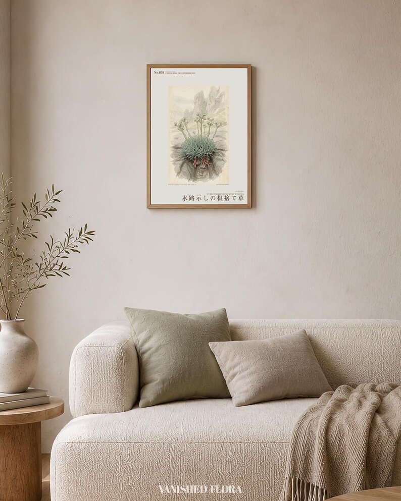 Channel-root Caster Print – Extinct Drakensberg Herb Botanical Art (Digital Download) image 4