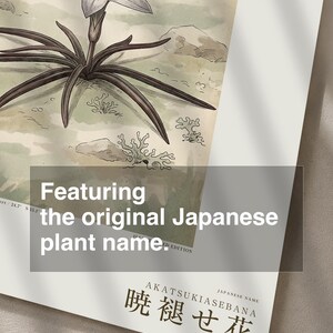 Fictional Mistbloom Field Journal Print – Namib Desert Botanical Study (Digital Download) image 6