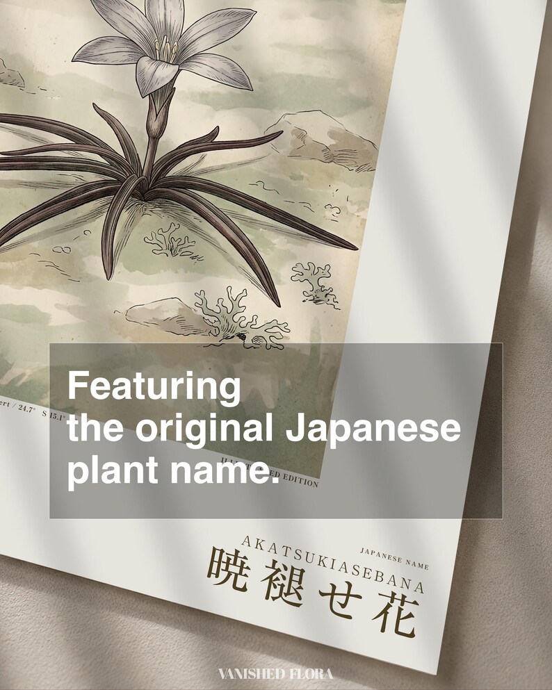 Fictional Mistbloom Field Journal Print – Namib Desert Botanical Study (Digital Download) image 6