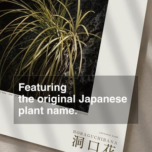 Cave-mouth Bloom Specimen Print – Antroflora luminis, Moody Nature Photography (Digital Download) image 6