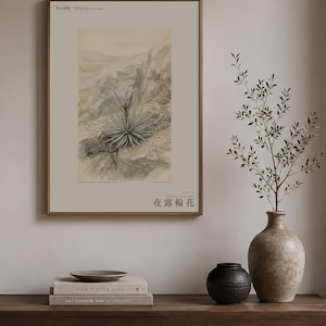 Vanishing Dewring Expedition Sketch – Ventiflora evanida Botanical Print (Digital Download) image 3